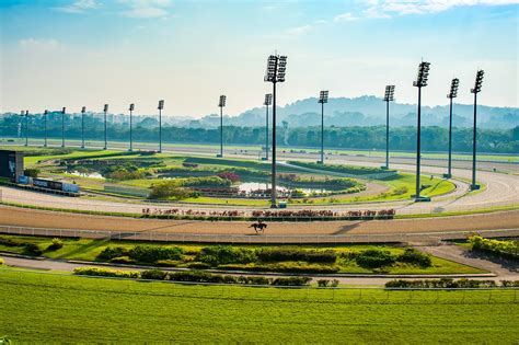 racing guide singapore|Singapore Turf Club.